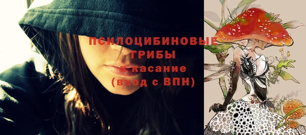 спайс Баксан