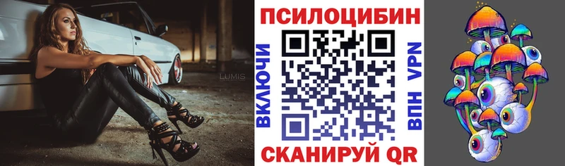 кракен   Корсаков  Псилоцибиновые грибы Psilocybine cubensis  хочу наркоту 